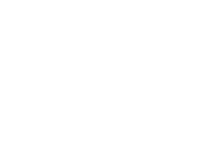 Krosnys Zidiniai Footer Logo Baltas